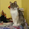 Отзыв от Прасковья Чумакова